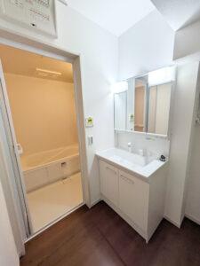 s{ssvv̐VzˌĂ̐ʑEʏ