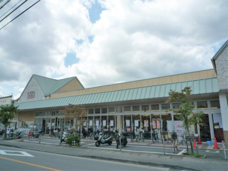 ���s�{���s�s�E���摾�`�J�����̓y�n�̎��ӊ�