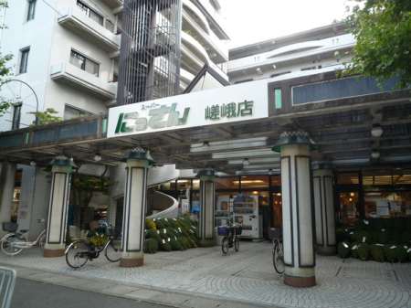 京都府京都市右京区嵯峨広沢南野町の中古一戸建ての周辺環境