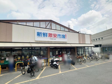 京都府京都市伏見区久我東町の土地の周辺環境