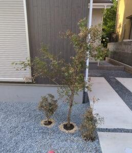 s{ss操Rɉ̐VzˌẲ摜