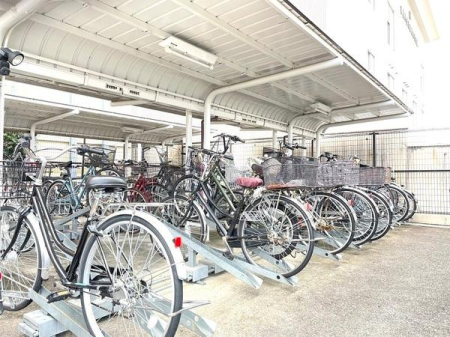 ���s�{���s�s���g�ˉ@���G�� 2-1�̒��Ã}���V�����̂��̑����p��