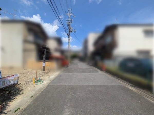 s{ss쓇㒬̓yn̑OʓH܂ތnʐ^