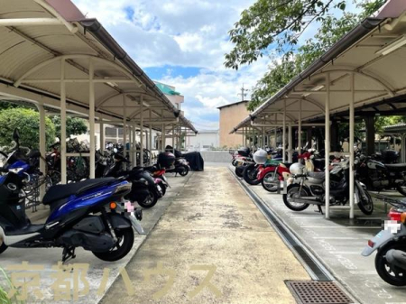 ���s�{���s�s���v����v���� 542�̒��Ã}���V�����̂��̑����p��