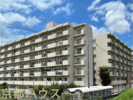 s{ssvv 542̒Ã}V̌nOώʐ^