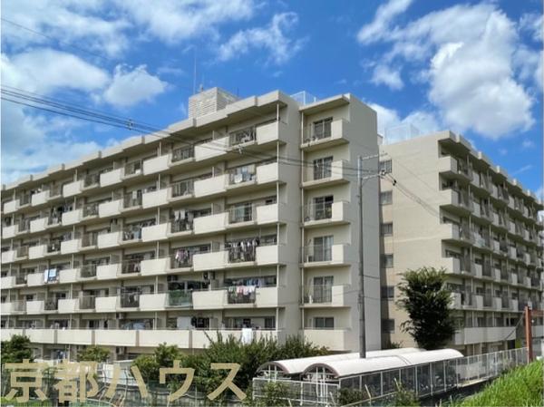 s{ssvv 542̒Ã}V̌nOώʐ^