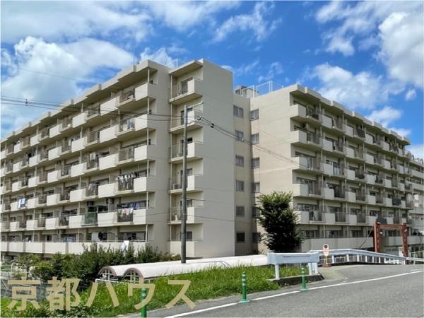 s{ssvv 542̒Ã}V̂̑