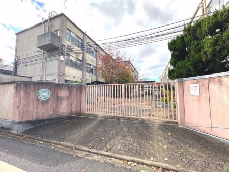 ���s�{���s�s�����搼�m���k�~���̓y�n�̎��ӊ�