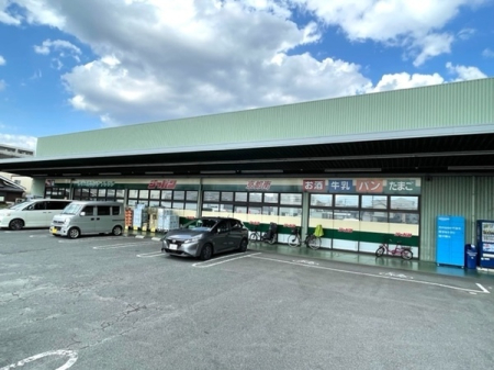 s{ss扺×ђ̓yn̎ӊ