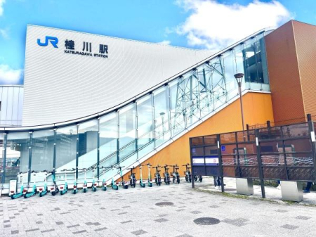 s{ss拍PVc̓yn̎ӊ