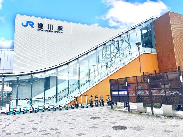 s{ss拍PVc̓yn̎ӊ