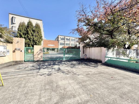 s{ss拍PVc̓yn̎ӊ