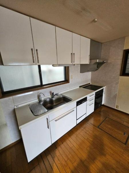 ���s�{���s�s�E���摾�`�쌳���̒��È�ˌ��ẴL�b�`��