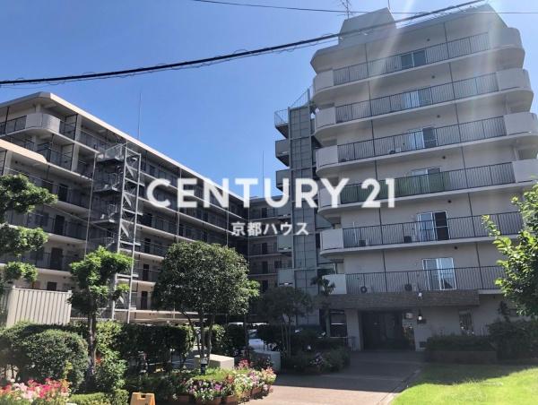 ���s�{���s�s�E���摾�`���M�� 14-222�̒��Ã}���V�����̌��n�O�ώʐ^