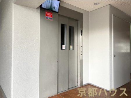 ���s�{���s�s���g�ˉ@�m�؃m�X�� 12�̒��Ã}���V�����̂��̑����p��