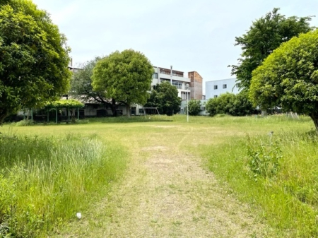 ���s�{���s�s���g�ˉ@�m�؃m�X�� 12�̒��Ã}���V�����̎��ӊ�