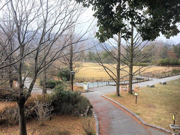 ���s�{���s�s�������}�k�B�|��1���� 5-3�̒��Ã}���V�����̎��ӊ�