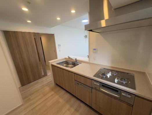 ���s�{���s�s������㕽�쒬 446-1�̒��Ã}���V�����̃L�b�`��