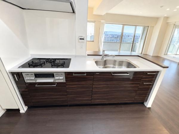���s�{���s�s�E���捵���H�X���� 25-2�̒��Ã}���V�����̃L�b�`��